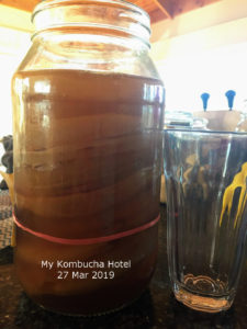 kombucha hotel