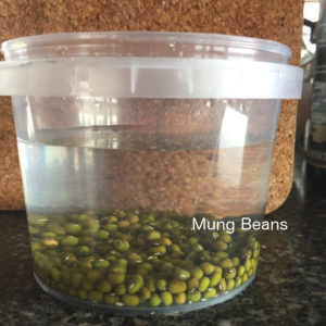 soak mung beans