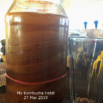 kombucha hotel