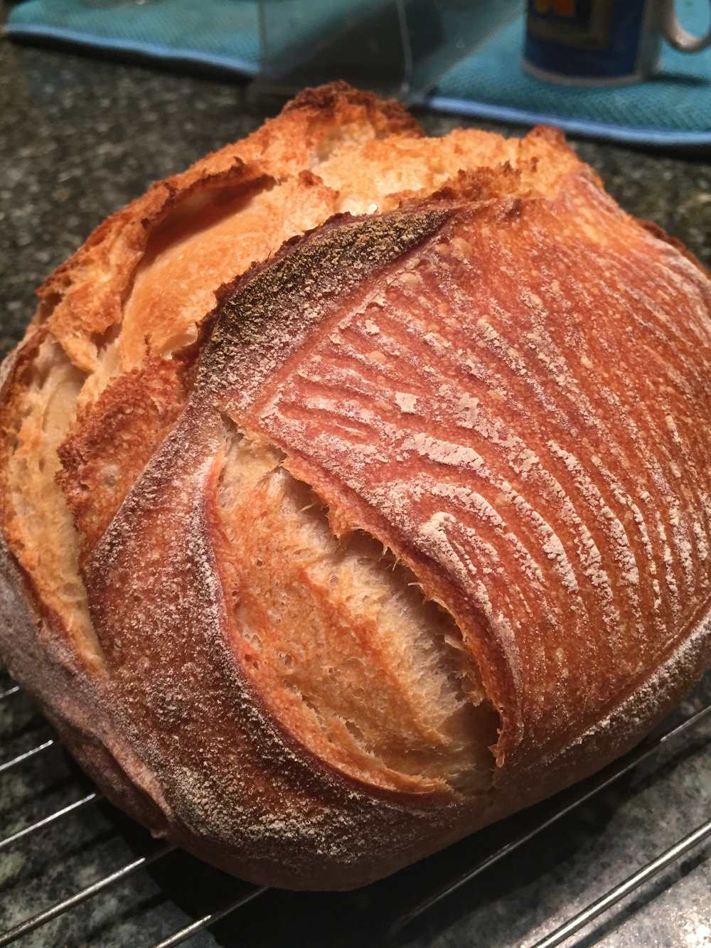 Sourdough Bread - My First Basic Recipe ・shCREDO