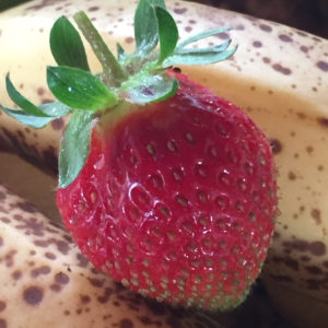 My first strawberry sitting on top bananas