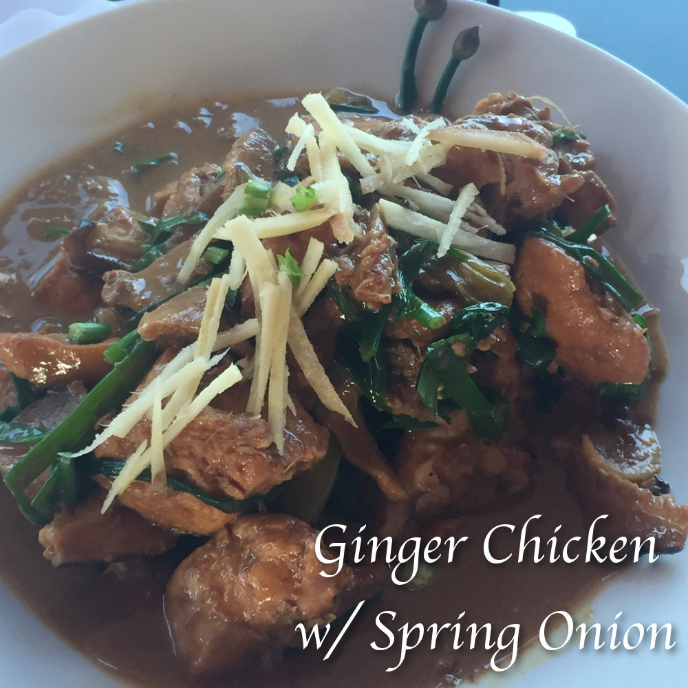Chicken - Braised Chinese Ginger Chicken with Spring Onion ・shCREDO